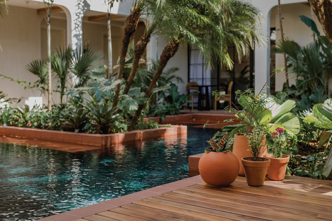 A luxurious pool that has dark blue water, terracotta colored edges, and has many rectangular alcoves. The pool deck is dark brown wooden paneling and has potted plants resting all over it. The pool is also surrounded by small palm trees, palm fronds, and other small plants.