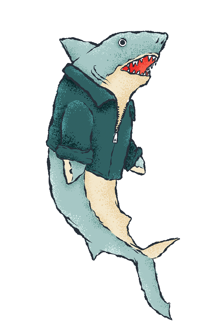Illustration of a light blue bull shark wearing a dark teal zip-up jacket.