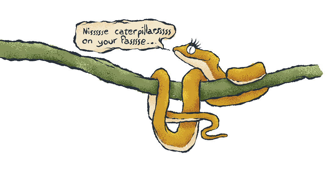 Illustration of an yellow eyelash viper snake draped over a green tree branch. There is a speech bubble coming from its mouth that says "Nissssse caterpillarssss on your fasssse..."