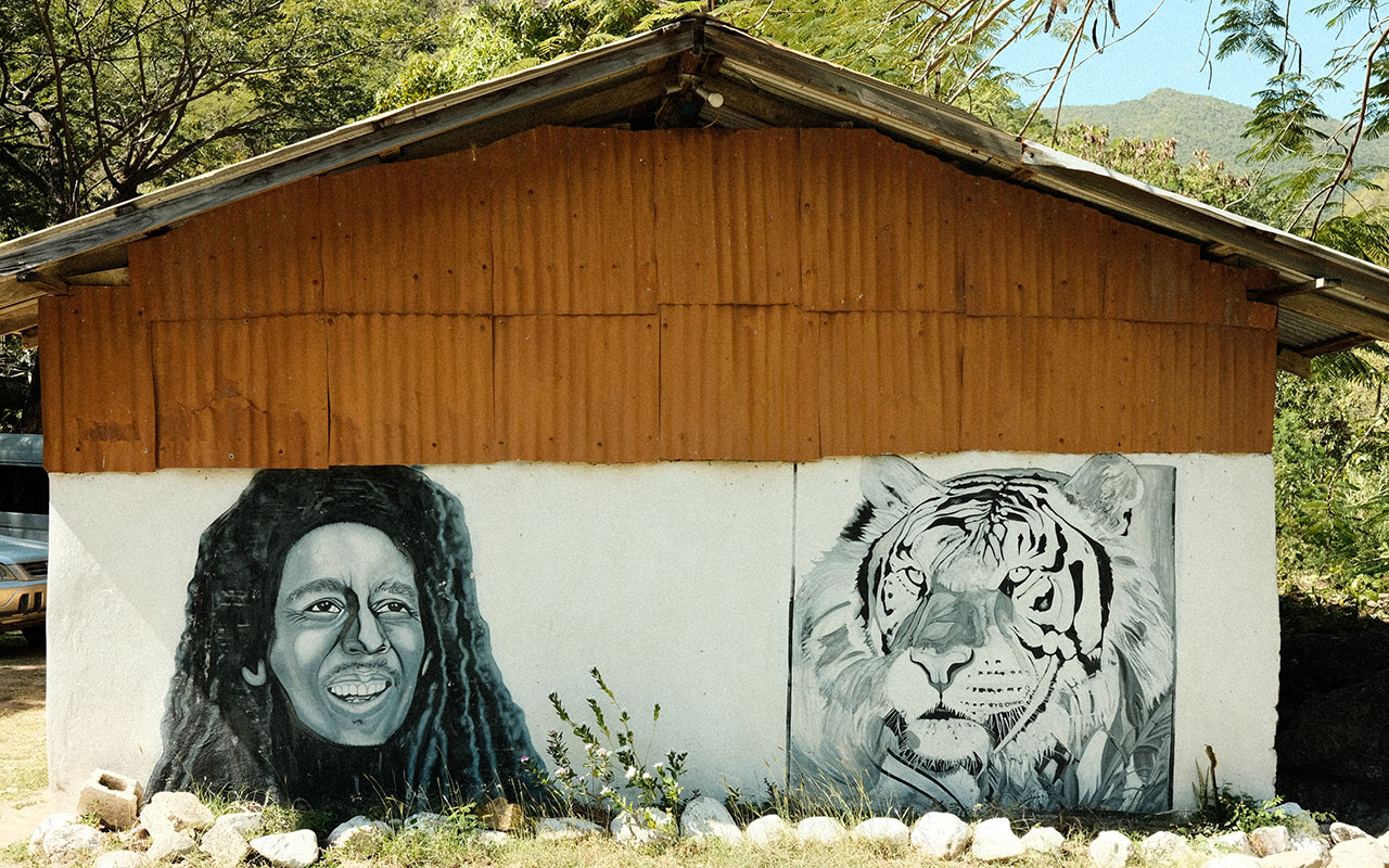 Photo of the side of a house surrounded by light green trees. The bottom half of the house is white cement lined with small rocks around the base. A black and white portrait man with long dark dreadlocks and a black and white portrait of a tiger have been paint side by side on the side of the wall. The top of the house was are made of pieces of orange square sheets of ribbed metal bolted together to form a wall. The roof is slanted. 