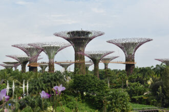 Gardens at the Bay super trees rising against the skyline. These large trees are made of metal and have plants growing up and around them. There are smaller trees underneath the super trees and there is a bridge in the air connecting the super trees to one another.