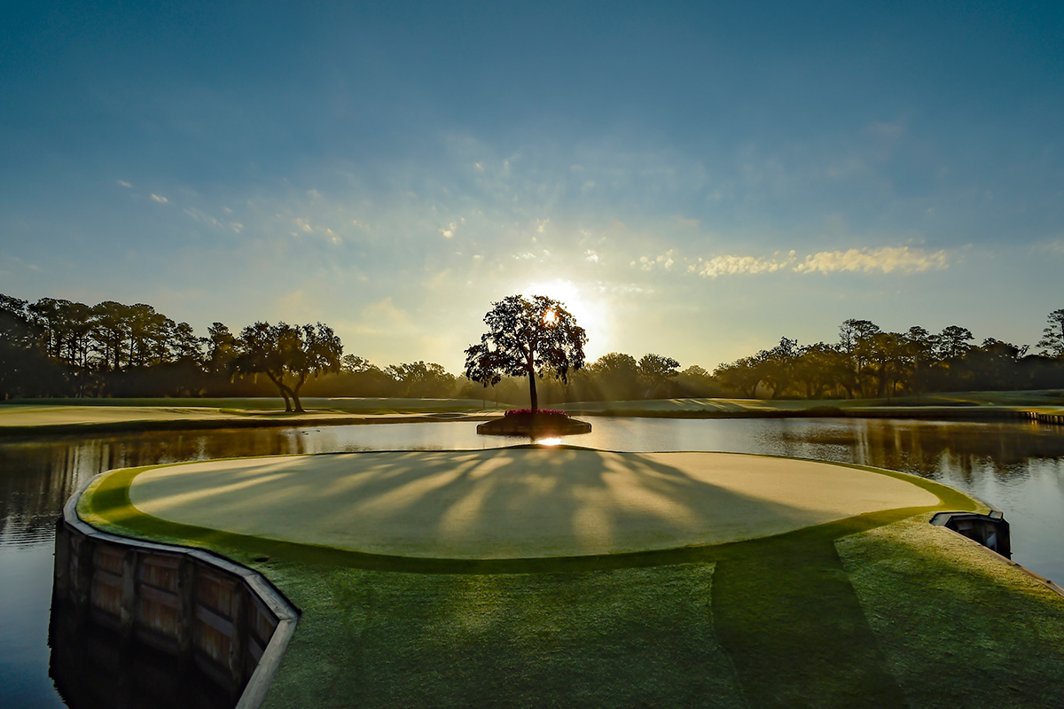 Photo taken at sunset on the light green island segment of a golf course island. A sing tree sits on a a small island in the pond with its silhouette illuminated by the setting sun. the rest of the green course behind the tree on the other side of the pond backs up to a forest of trees. The sky is a fading blue.