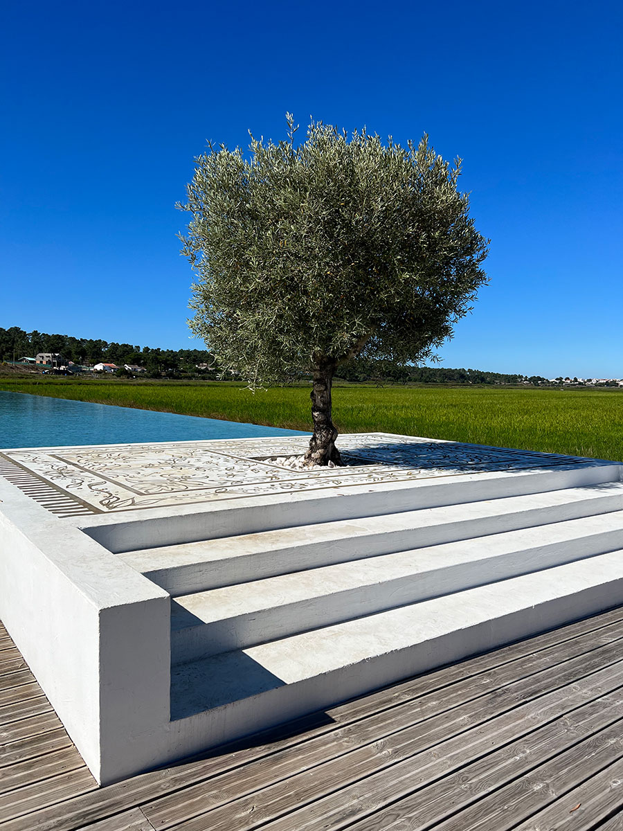 Photo taken or a long outdoor infinity pool with white marble steps leading up to it. In the middle of the engraved marble steps is a single tree.