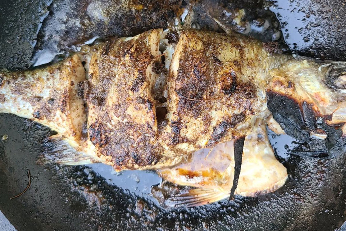 Photo of a light, murky yellow-green colored fish cooked whole in a black cast-iron skillet. The fish is charred and the skillet is filled with the remaining juices and oils from the fish.