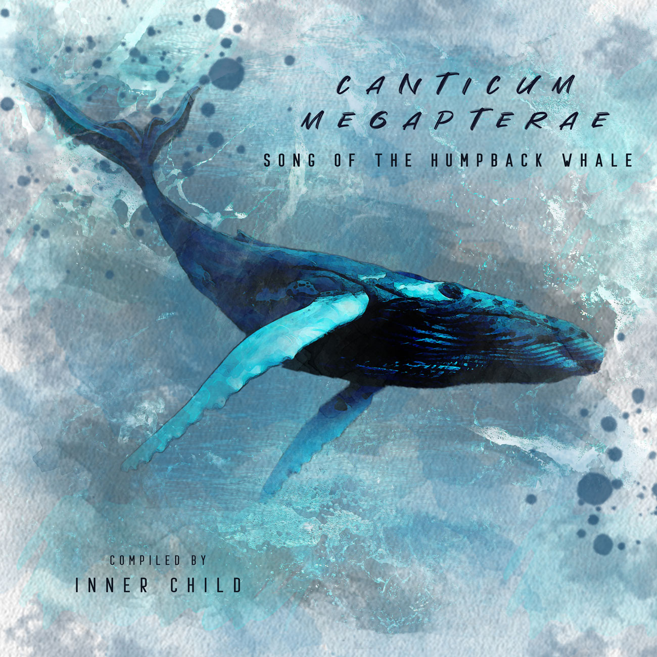 Song cover graphic of Sara Niksic's first album, "Canticum Megapterae". The cover is done in a water color style with a light gray blue background and a bright blue/aquamarine-colored humpback whale gliding through the water in the center