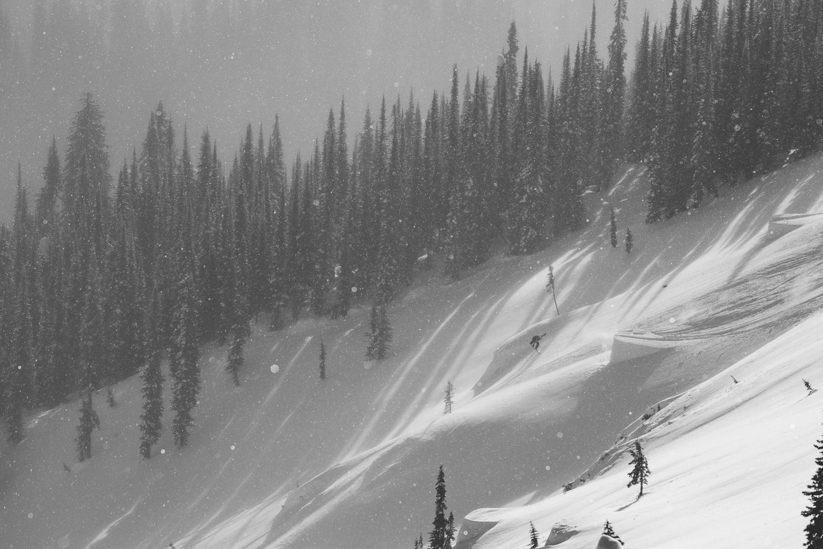Person snowboarding down mountain in black and white