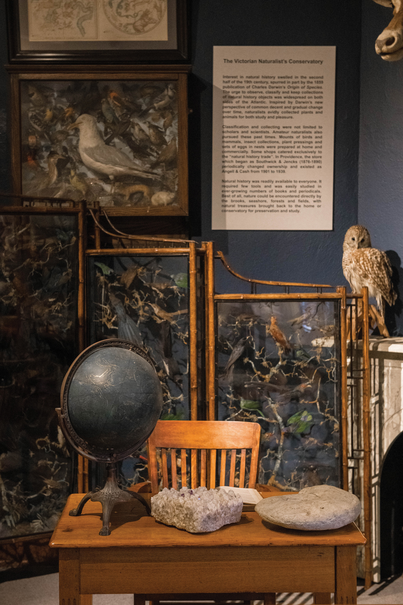 Natural History Museum, photo of a desk with globe and rocks on top. Gallery wall with paintings and a stuffed owl in the background.