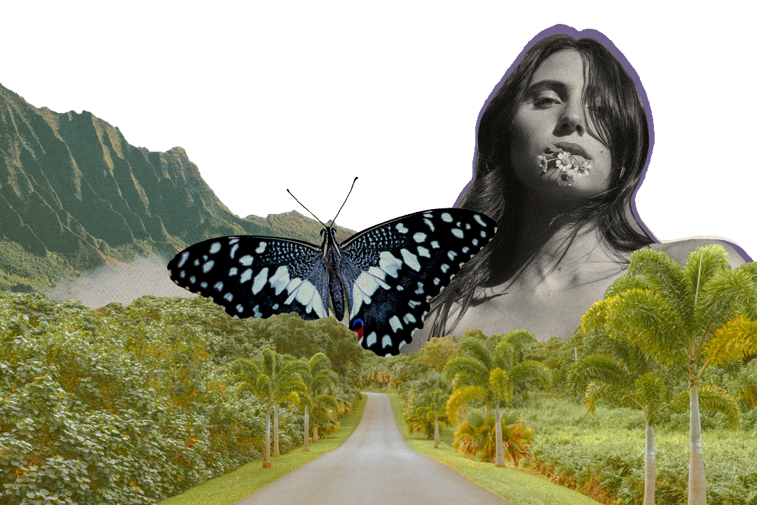 Photo collage of various images layering over one another. In the foreground is a cutout image of a long road with palm trees and other greenery on each side of it. Behind this photo is a cutout image of Hawaiian mountains, a blue butterfly, and an image of a women from the chest up. She has long flowing hair, daises in her mouth, and a purple colored outline lines her head.