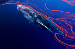 Photo of a grayish/white humpback whale swimming in the dark royal blue water of an ocean. Wavy red/orange lines are curving through the water and around the whale.