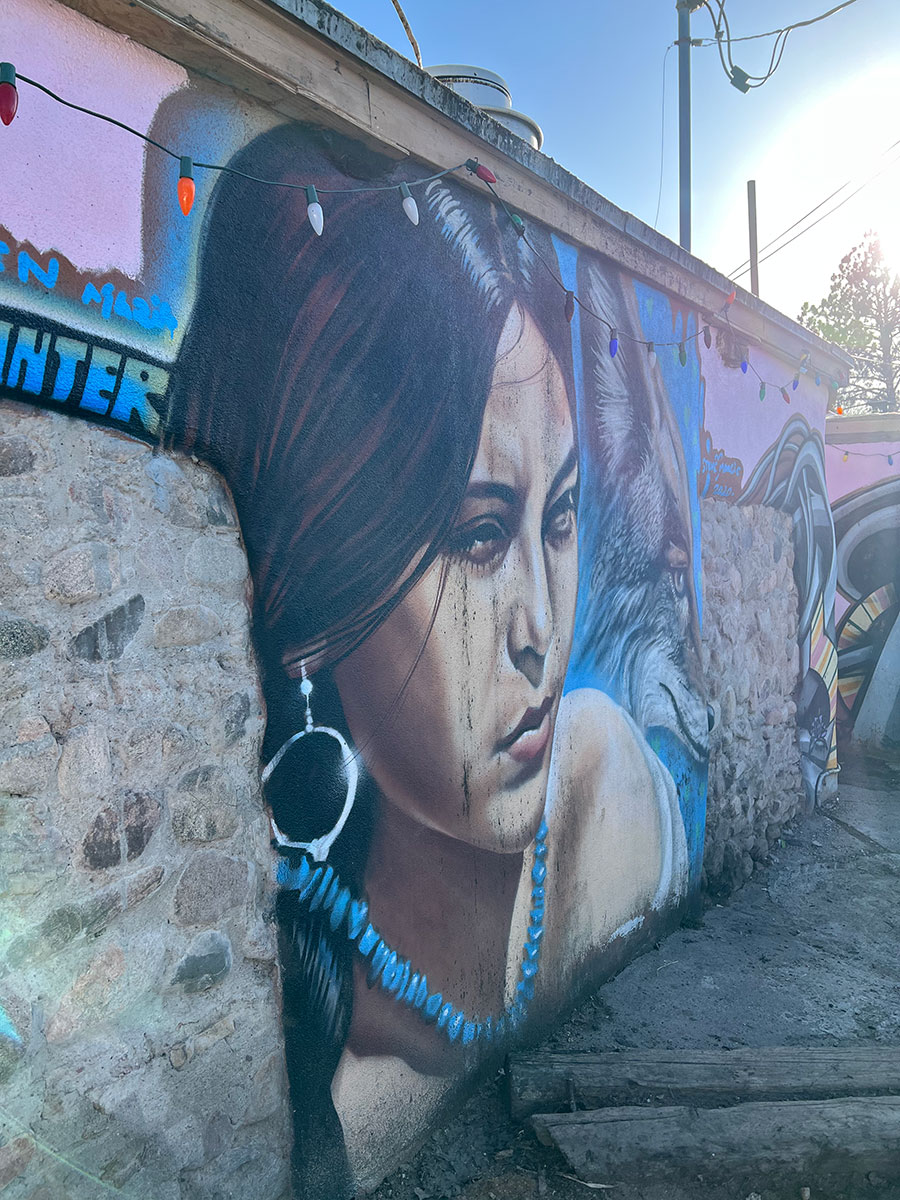 Photo of a wall covered in street art on a building in Santa Fe, New Mexico. The wall is taken up largely by the face of a woman with dark hair and light brown skin. She is wearing large silver hoop earrings and a turquoise stone necklace.She appears to be squinting with the sun on her face and looking at something in the distance.