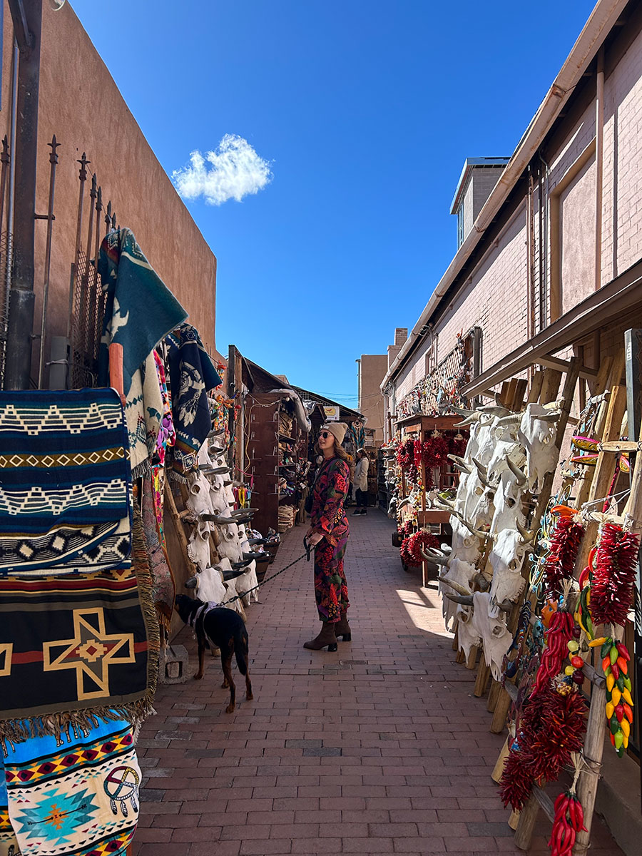 Photo of a market down a narrow side street in downtown Santa Fe, New Mexico. The brick path is lined on either side with shops selling colorful decorations, ristras, woven blankets and large white bull skulls with pointed brown horns.