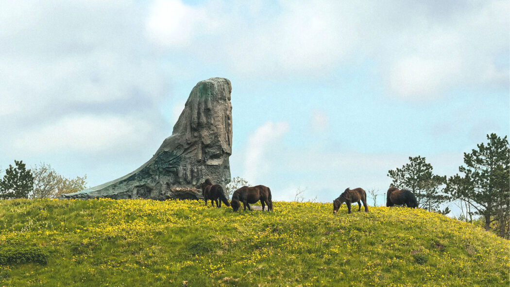 Horses in a green field of grass with a large boulder.