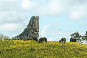 Horses in a green field of grass with a large boulder.