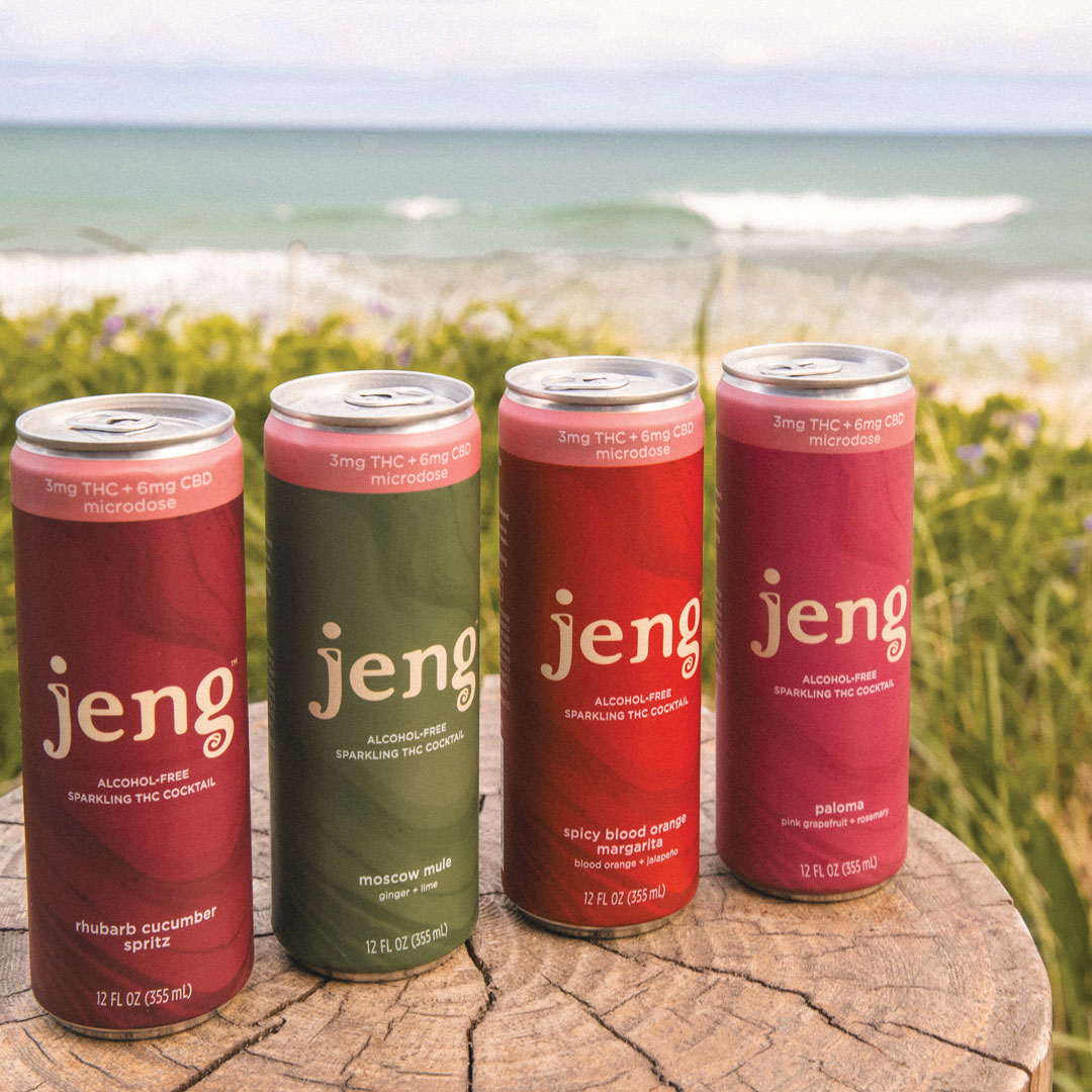 Row of colorful cans sitting in a line on a stump. In the background is a the sky and the ocean and dune grass. The cans each read "jeng."